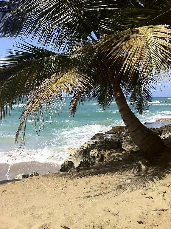 Casa Del Sol - Guest House Sosua Dominican Republic