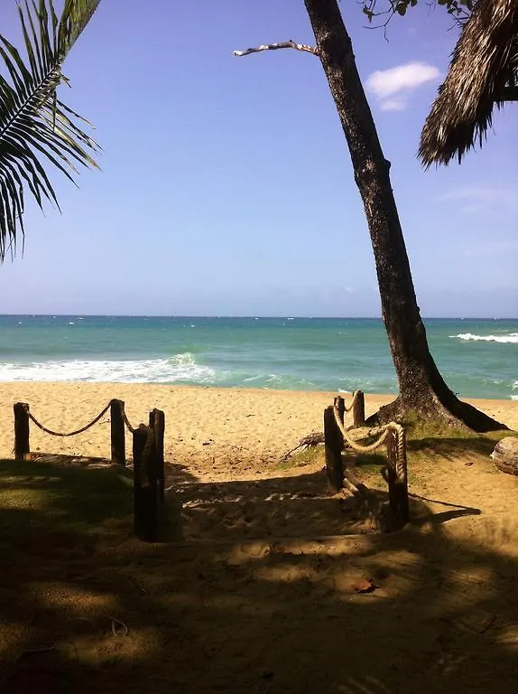 Bed & Breakfast Casa Del Sol - Guest House Sosua