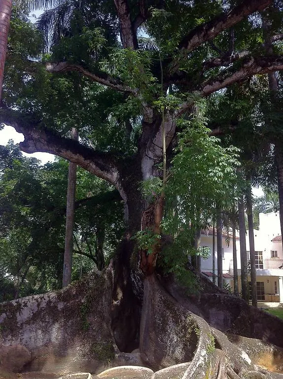 Bed & Breakfast Casa Del Sol - Guest House Sosua